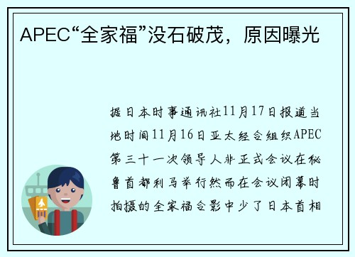 APEC“全家福”没石破茂，原因曝光