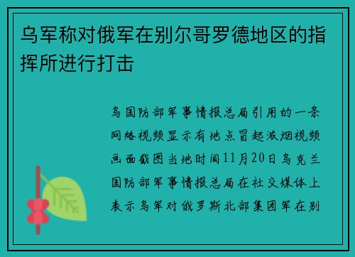 乌军称对俄军在别尔哥罗德地区的指挥所进行打击