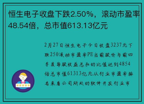 恒生电子收盘下跌2.50%，滚动市盈率48.54倍，总市值613.13亿元
