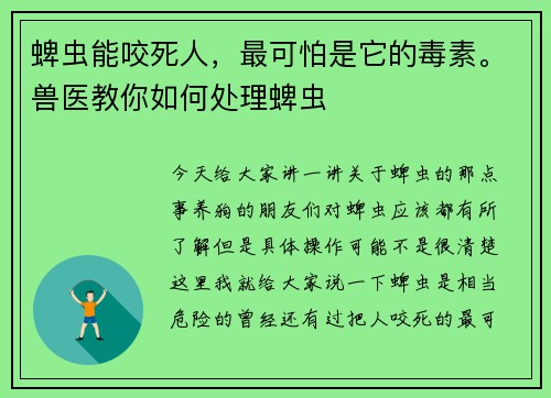蜱虫能咬死人，最可怕是它的毒素。兽医教你如何处理蜱虫